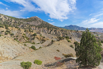Clay ravines at the foot of the mountains.