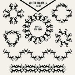 Lizard. Design elements and space for text