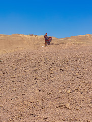 lonely female person portrait in fluttering dress on a wind in desert landscape global warming environment with dry ground foreground and empty blue sky background vertical picture concept