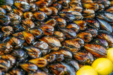 Mussels in shells close-up