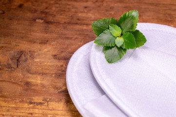 Hotel Slippers with a plant on a wooden background