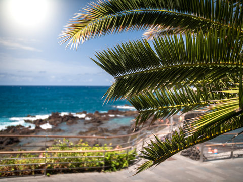Closeup image of palm tree leaves and ocean lagoon at bright sunny day