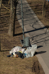 garbage dumped by trash bin in park