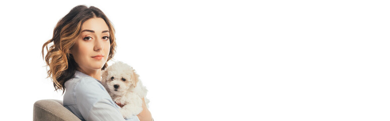 panoramic shot of woman holding Havanese puppy and sitting on armchair isolated on white