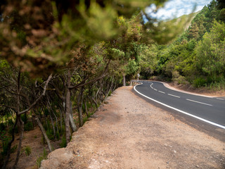 View through tree leaves on beautiful highway road in mountains going through forest