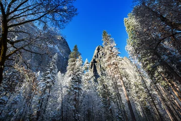 Foto op Canvas Winter in Yosemite © Galyna Andrushko