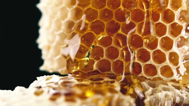 Honeycomb with honey. macro shot. close up shot.