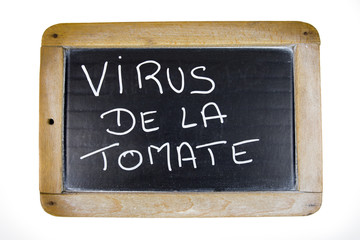 ardoise avec écrit dessus "virus de la tomate"