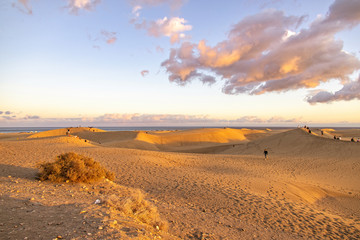 summer desert landscape on a warm sunny day from Maspalomas dunes on the Spanish island of Gran Canaria