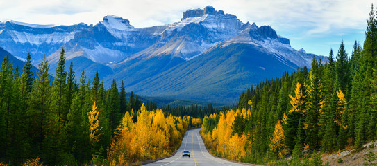 Panorama view road 93 beautiful "Icefield Parkway" in Autumn Jasper National park,Canada