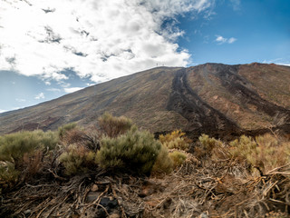 Beautiful landscape of volcano Teide overgrown with grass and bushes, Tenerife