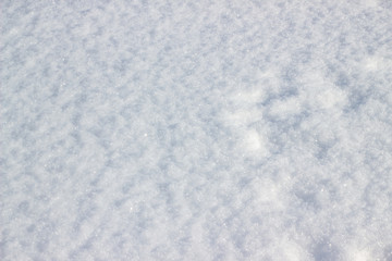 Real snow surface to use background texture. Pure fluffy snow. Just falling white snow. White snowflakes. Pure fluffy snow.