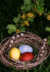 Easter eggs lie in the nest on the green grass. Three Easter eggs in the nest with willow branches. Easter eggs on the grass. 