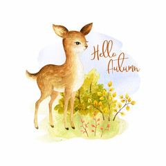 Cute baby deer. Hand painted watercolor illustration isolated on a white background.