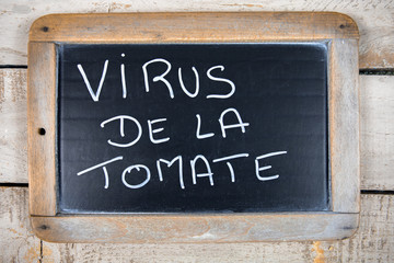 ardoise avec &eacute;crit dessus "virus de la tomate"