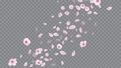 Modern Abstract Ribbon. Flying Petals In Realistic Style. Colorful Poster On Soft Transparent Background. Rose on Transparent.