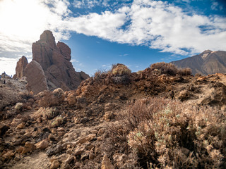 Ground view on dry plants and bushes growing in desert on mountain or volcano slope