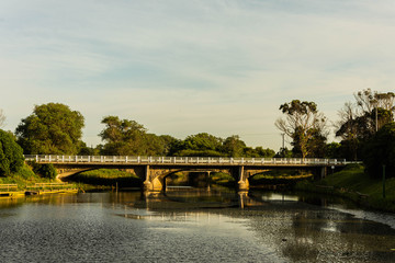 Fototapeta premium bridge in the park