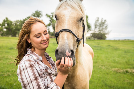 Western girl leading and riding horse bareback in pasture. Bridger, Montana, USA