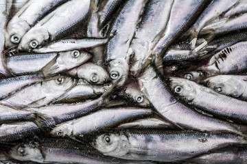 Close-up of frozen sprat in fish market. Winter fishing. Small silver fish production.