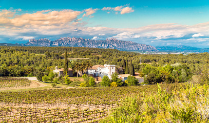 A cellar at Penedes wine region with Montserrat mountains in the distance. Catalonia, Spain. - obrazy, fototapety, plakaty