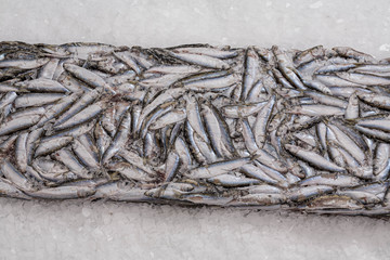 Close-up of sprat brick on the ice in fish market. Winter fishing. Frozen small silver fish. Pieces...