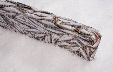 Close-up of sprat brick on the ice in fish market. Winter fishing. Frozen small silver fish. Top...