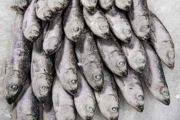 Obraz premium Close-up of fresh sprat on the ice in fish market. Winter fishing. Small silver fish production.