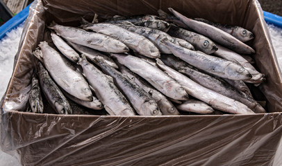 Obraz premium The production of organic fresh fish. A cardbox with a plastic bag. Close-up. Small sprat.