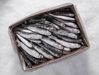 The production of organic fresh fish. A cardbox with a plastic bag. Pieces of ice. Small sprat. Top view.