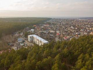 Aerial drone view. Pine forest on the outskirts of the city