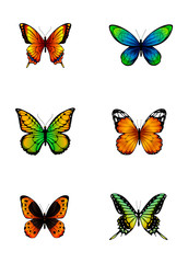 Fototapeta na wymiar Various cartoon butterflies. 