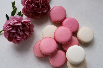 Colorful makarons. Pastel colors. Background	