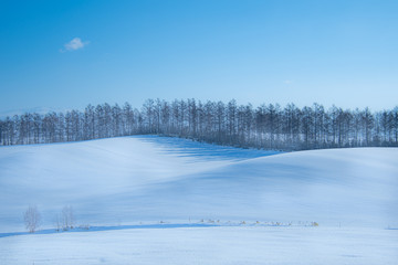 スノースロープ