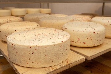 Käse Herstellung reifen Laib