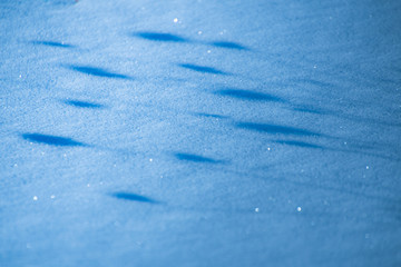 雪影遊び
