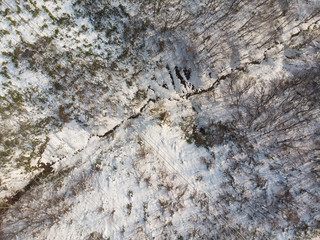 vertical photo of tree, snow and rock , shadows of trees on the snow ground  