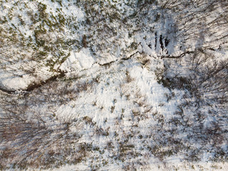 vertical photo of tree, snow and rock , shadows of trees on the snow ground  