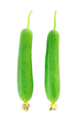 Sponge gourd isolated on white background. Clipping path