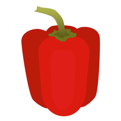 Fresh red pepper vegetable isolated icon. pepper for farm market,