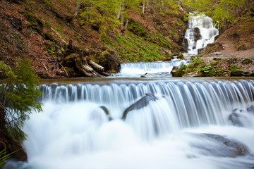 Forest narrow river, with an active stream. With trees on each side, sun shining, trees with green leaves