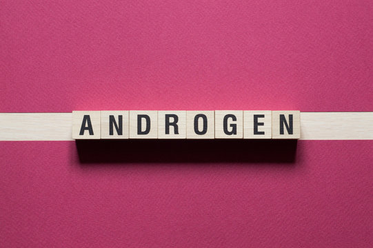 Androgen Word Written In Wooden Cube