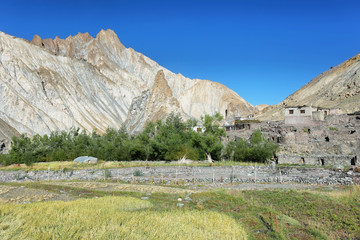 Fototapeta na wymiar Ancient village along the Markha valley trek. Ladakh, India
