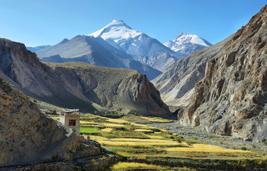 Green valley along Markha valley trek with Kang Yatse peak at background, Ladakh, India - obrazy, fototapety, plakaty