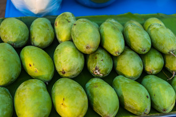 Group of Green mangoes, tropical fruits, Thailand.