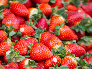 Fresh strawberries under running water