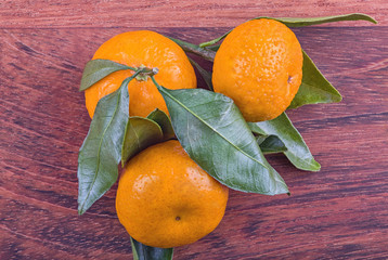 ripe three tangerines on brown wood background