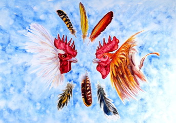 Watercolor roosters fight on a blue background. © Наталья Максакова