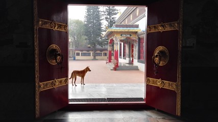 Red dog outside temple gate, golden door details, view of exterior tempel