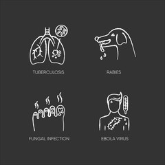 Viral and infectious diseases chalk white icons set on black background. Tuberculosis, rabies, fungal infection and ebola virus. Dangerous illnesses isolated vector chalkboard illustration